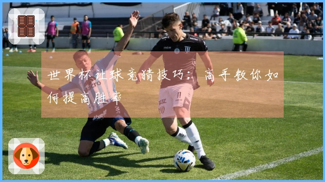 世界杯让球竞猜技巧：高手教你如何提高胜率