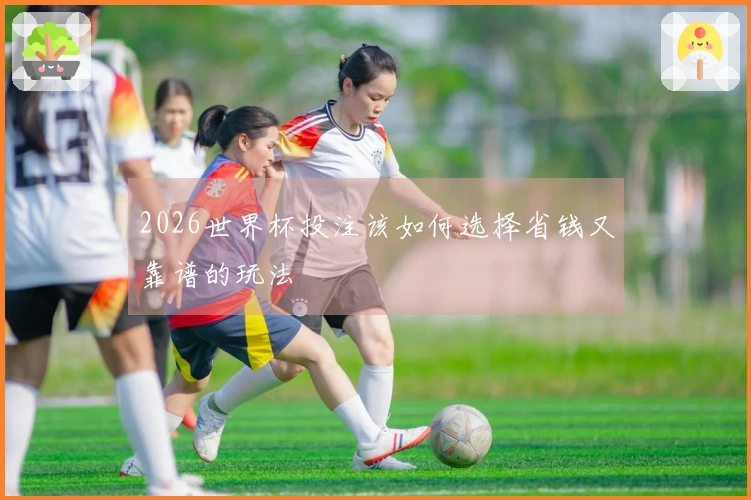 2026世界杯投注该如何选择省钱又靠谱的玩法