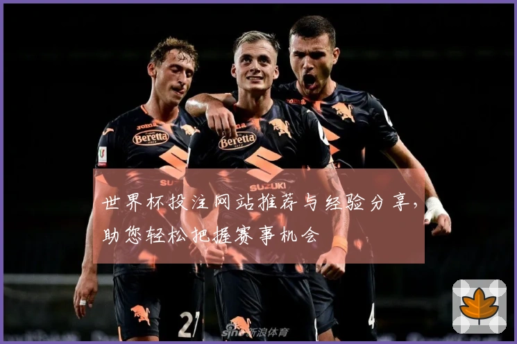 世界杯投注网站推荐与经验分享，助您轻松把握赛事机会